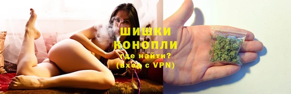 крисы Армянск