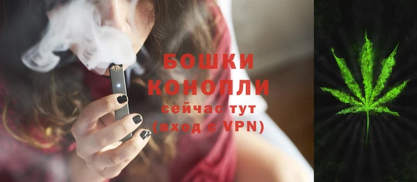 Альфа ПВП Аркадак