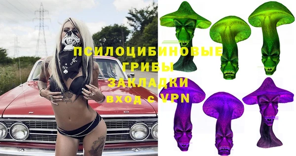 PSILOCYBIN Баксан