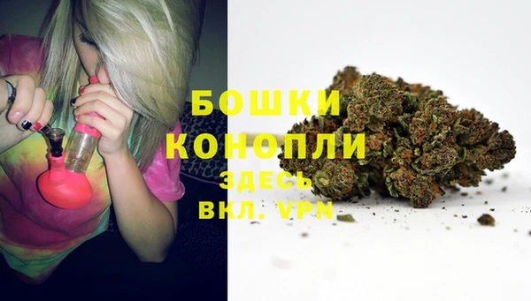 Альфа ПВП Аркадак