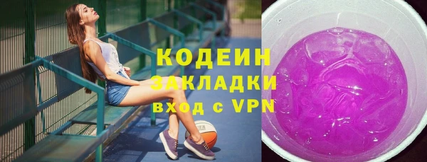 крисы Армянск
