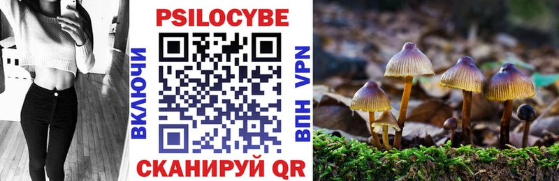 ссылка на мегу онион  Сельцо  Псилоцибиновые грибы MAGIC MUSHROOMS  дарнет шоп 
